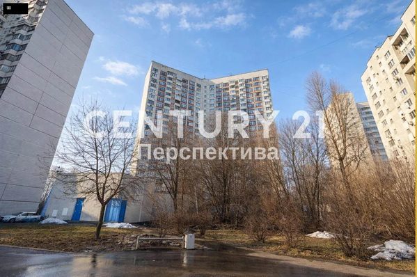 До — голые деревья